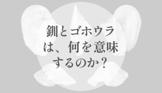 釧（腕輪）とゴホウラは、何を意味するのか｜身につける形と素材から読む、クシロの役割