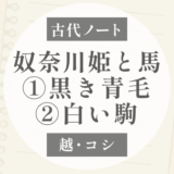 越：奴奈川姫伝承の馬はなぜ「黒き青毛」と「白い駒」なのか？｜五行の色から考える