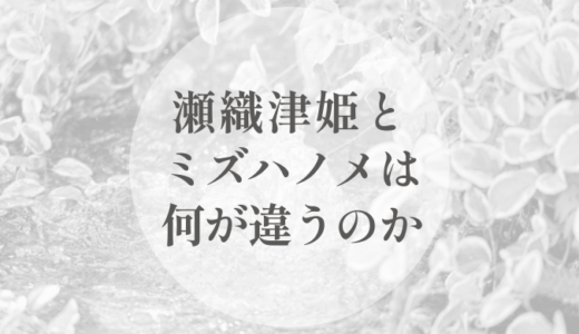 瀬織津姫とミズハノメは、何が違うのか｜「祓う水」と「めぐる水」を、役割から読む